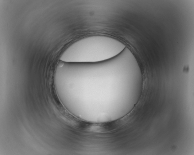 X0000112860171200908211104