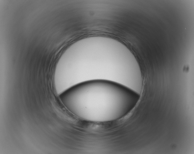 X0000112860174200908211104