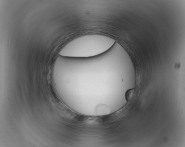 X0000112860175200908211104