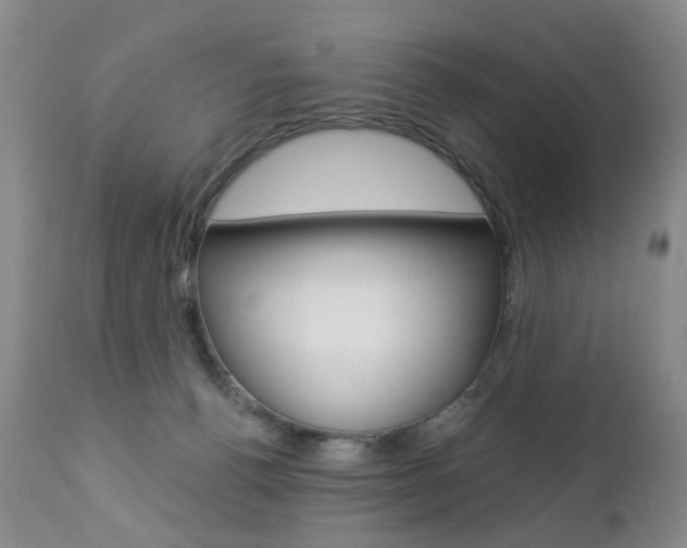 X0000112860176200908211104