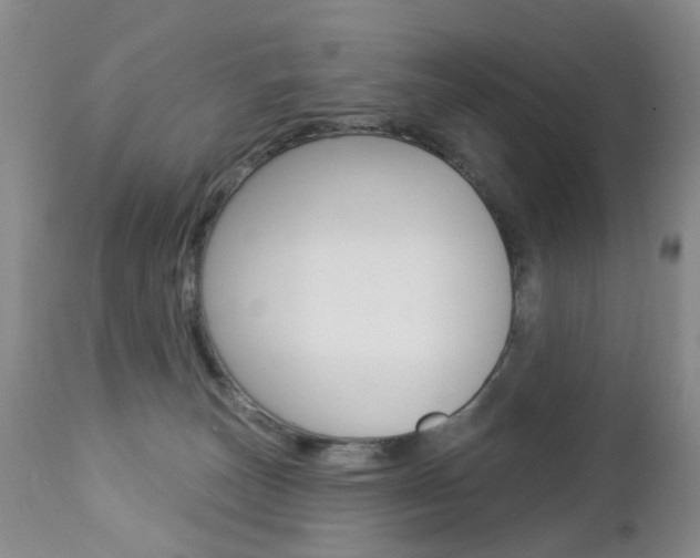 X0000112860179200908211104