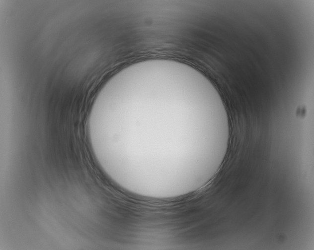 X0000112860180200908211104