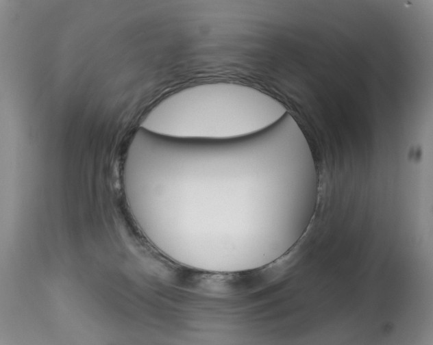 X0000112860182200908211104