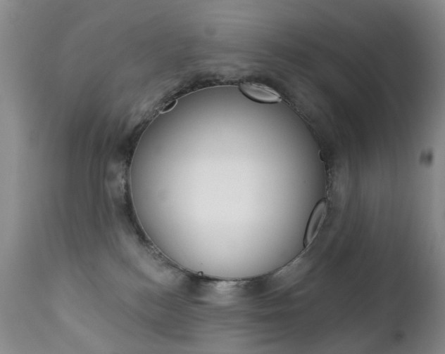 X0000112860184200908211104