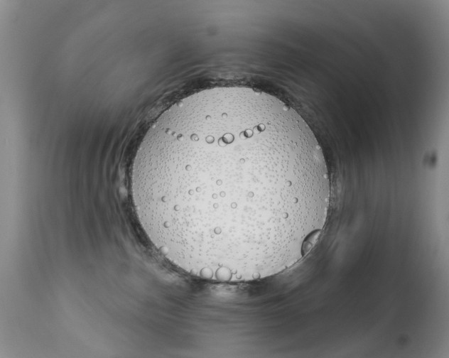 X0000112860187200908211104