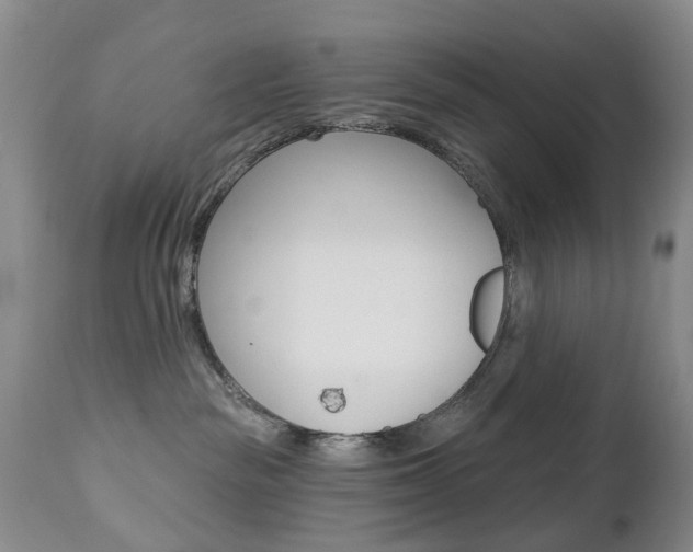 X0000112860189200908211104