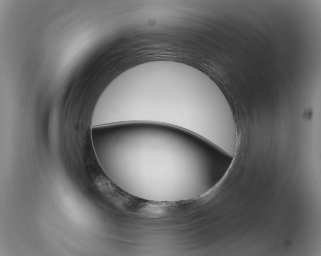X0000112860190200908211104