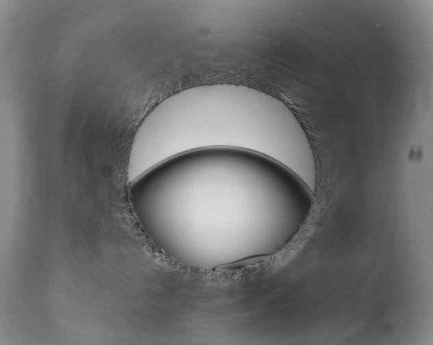 X0000112860192200908211104