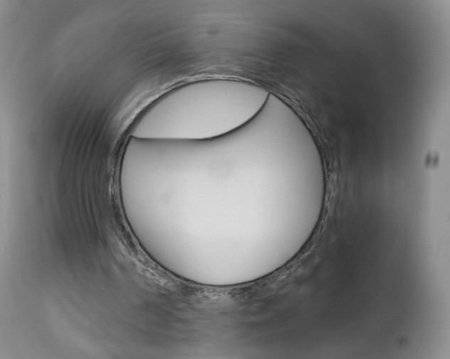 X0000112860194200908211103
