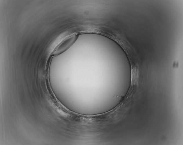 X0000112860195200908211103