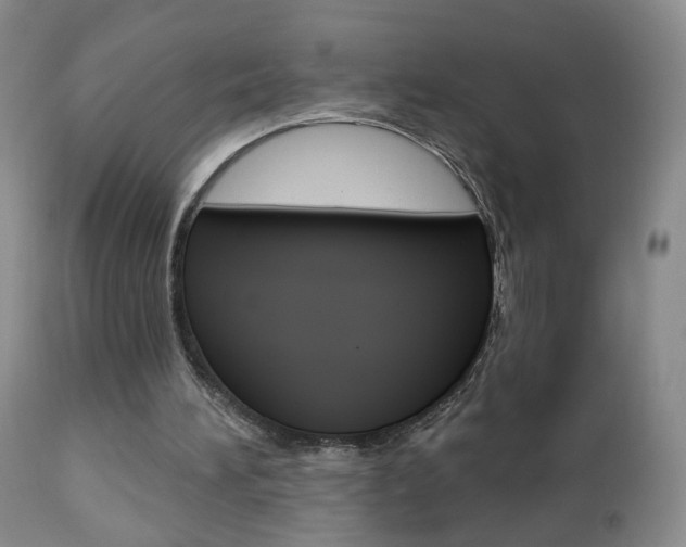 X0000112860196200908211103