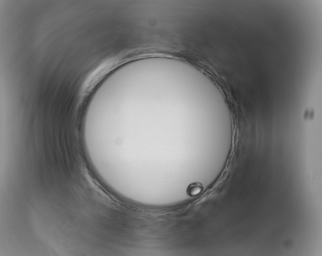 X0000112860197200908211103