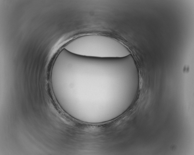 X0000112860198200908211103