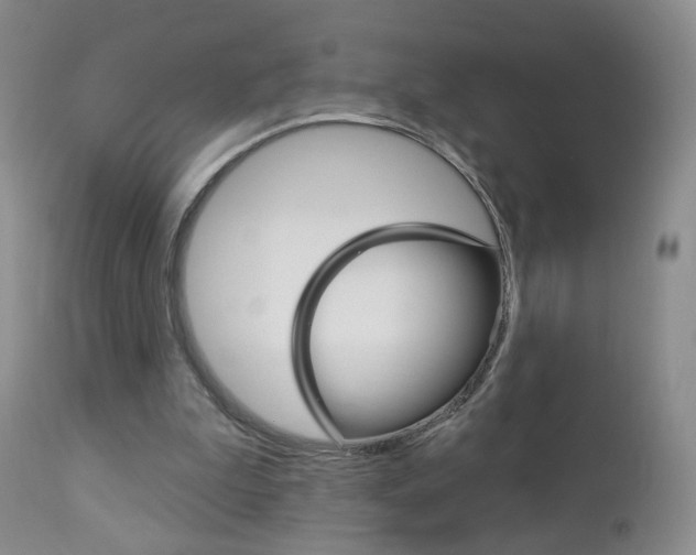 X0000112860199200908211103