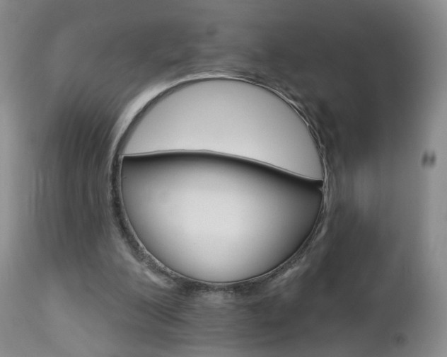 X0000112860200200908211103