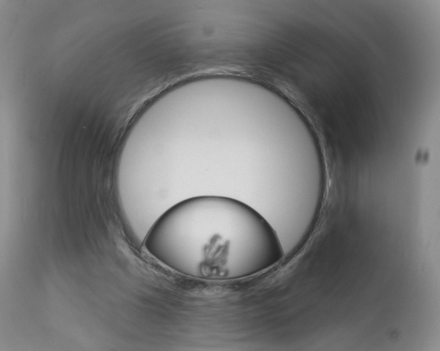 X0000112860201200908211103
