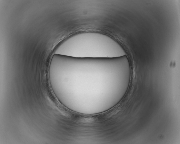 X0000112860202200908211103