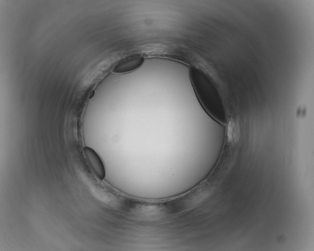X0000112860205200908211103