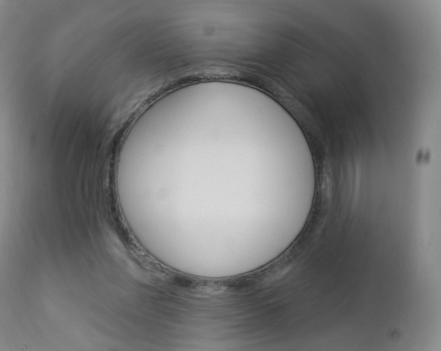 X0000112860206200908211103