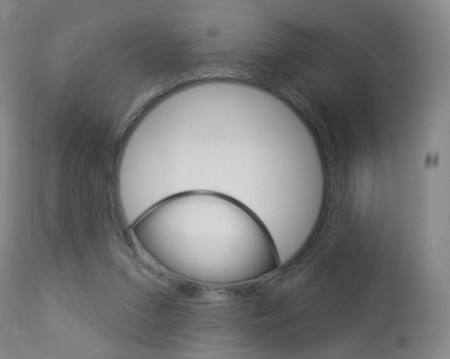 X0000112860207200908211103
