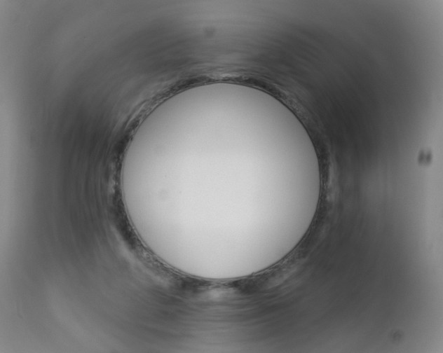 X0000112860210200908211103