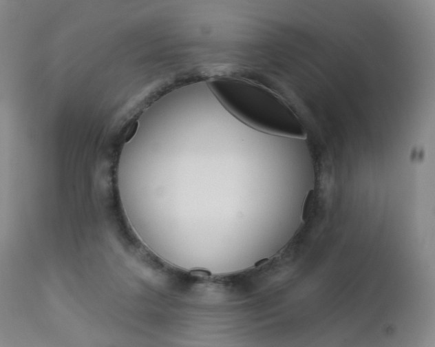 X0000112860211200908211103