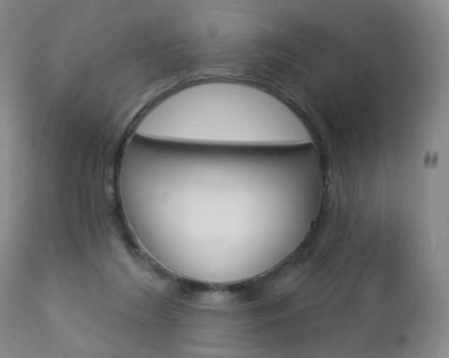 X0000112860212200908211103