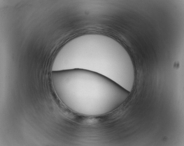 X0000112860217200908211103