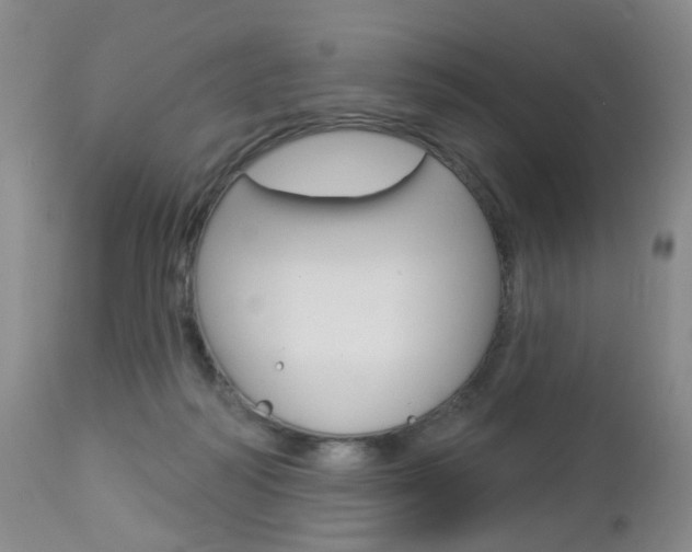X0000112860218200908211103