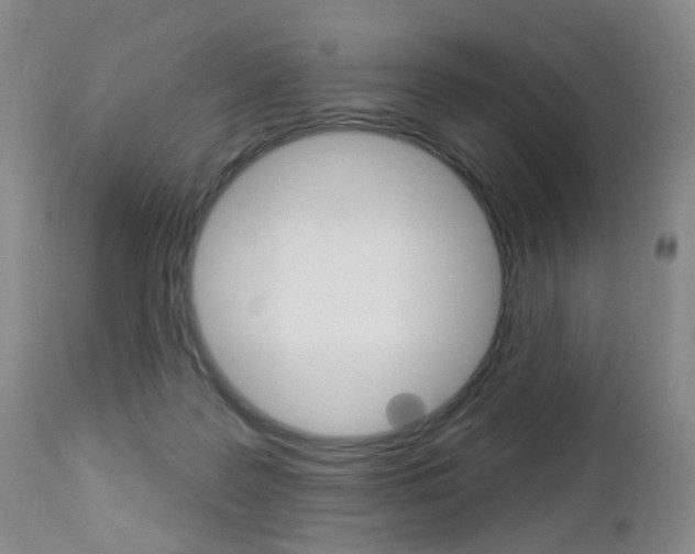 X0000112860219200908211103