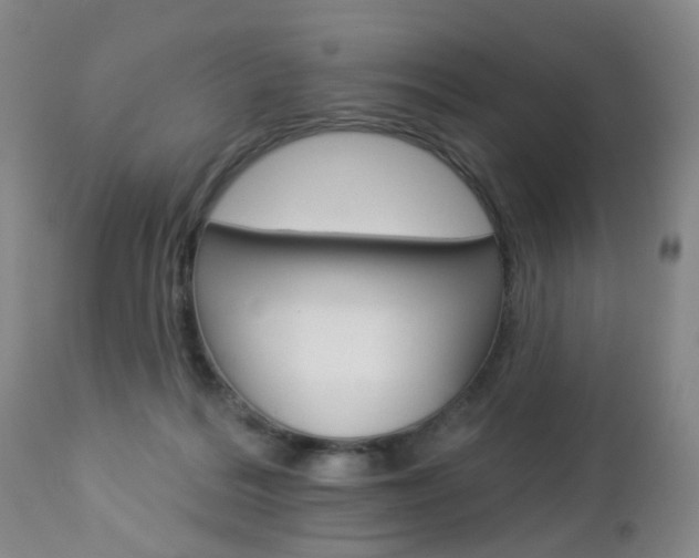X0000112860220200908211103