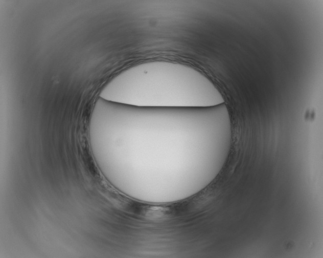 X0000112860222200908211103