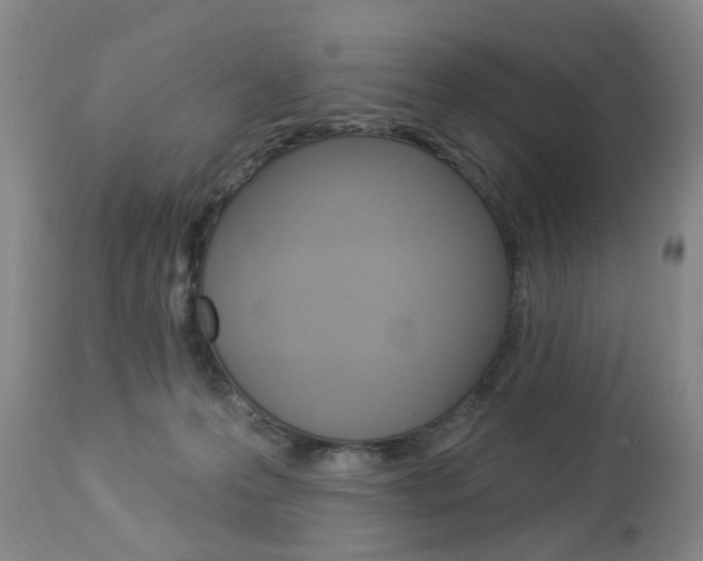 X0000112860223200908211103