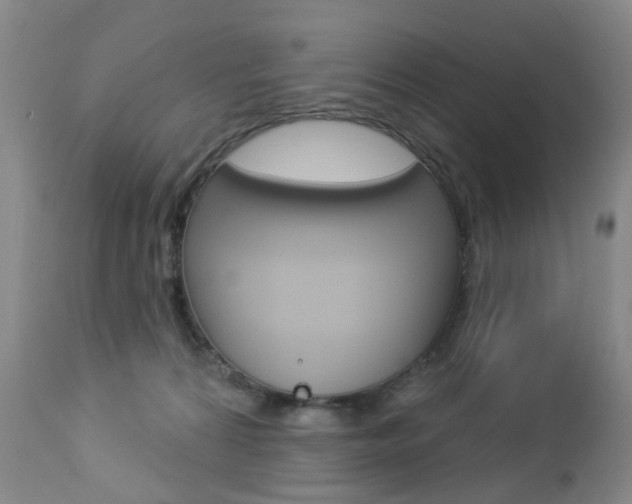 X0000112860224200908211103