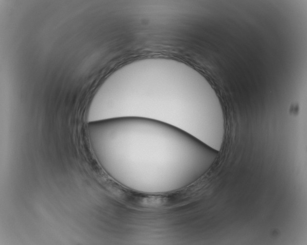 X0000112860225200908211103