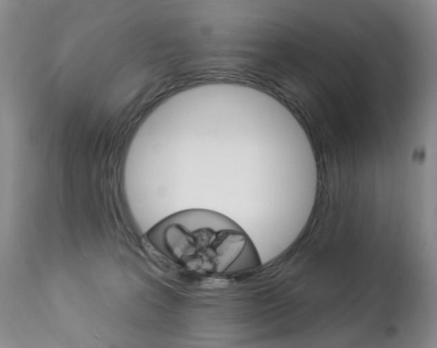X0000112860227200908211103