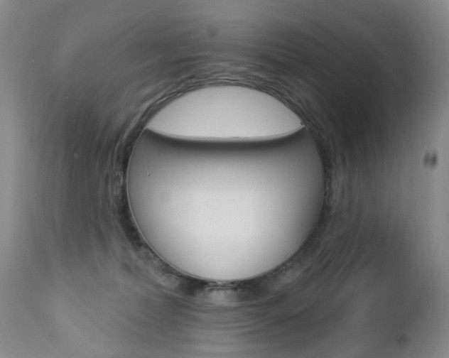 X0000112860228200908211103