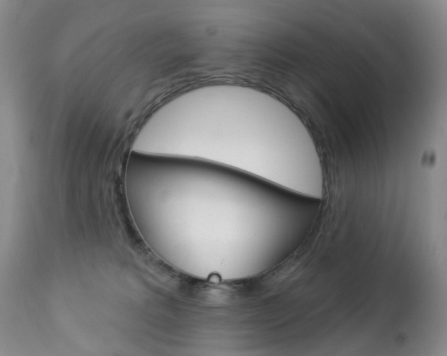 X0000112860229200908211103