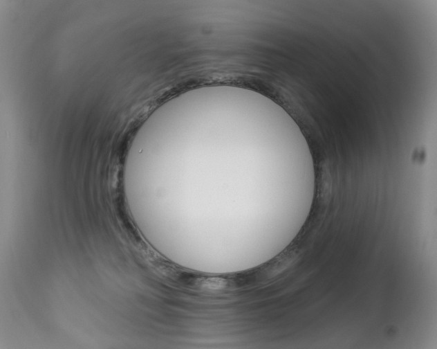 X0000112860230200908211103