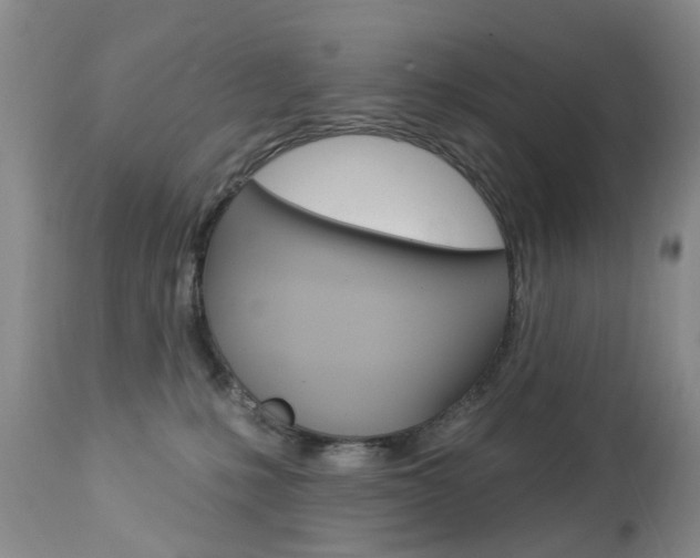 X0000112860231200908211103