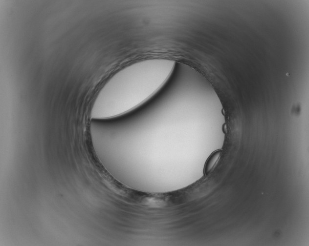 X0000112860232200908211103