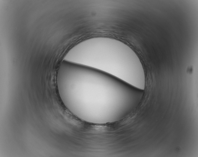 X0000112860233200908211103