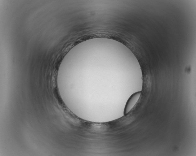 X0000112860234200908211103