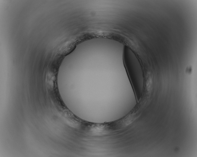 X0000112860235200908211103