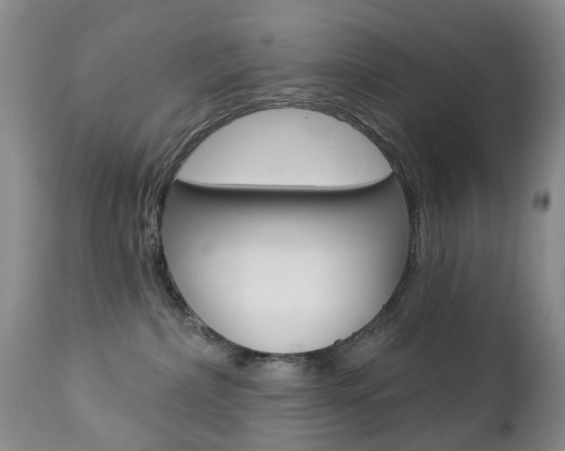 X0000112860236200908211103