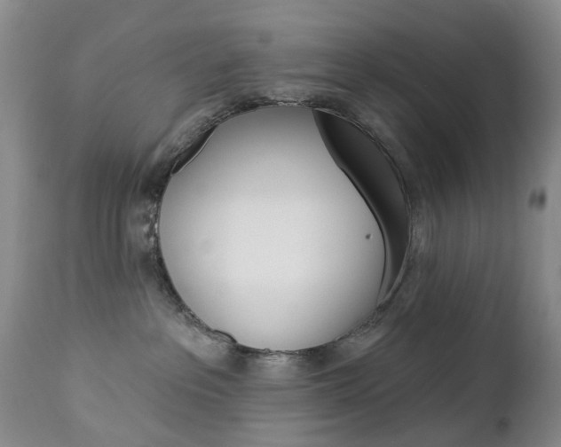 X0000112860237200908211103