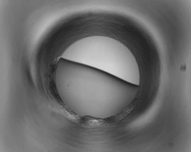 X0000112860239200908211102