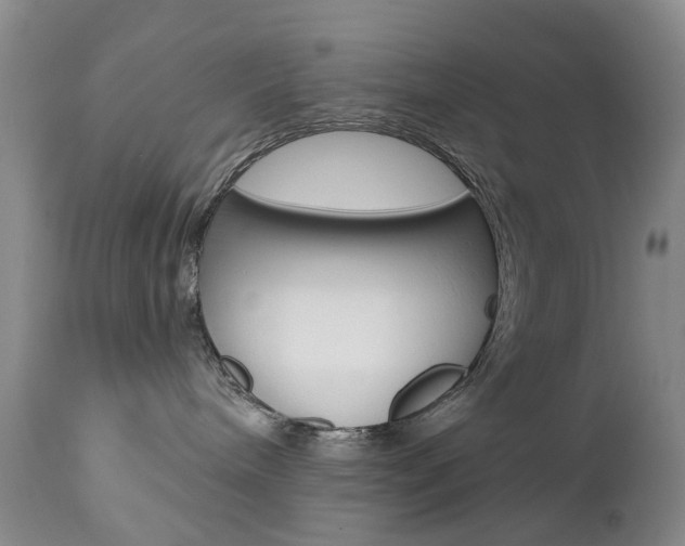X0000112860240200908211102