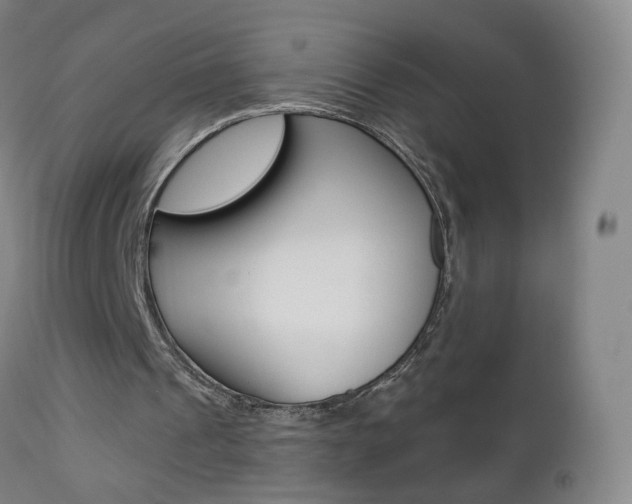 X0000112860241200908211102
