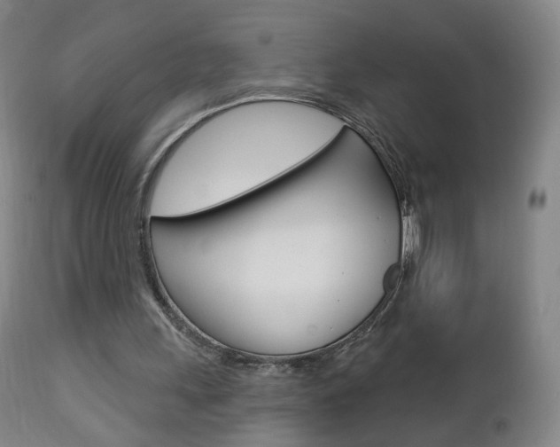 X0000112860243200908211102